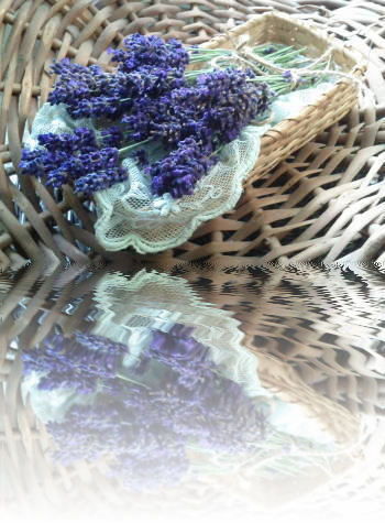 Lavender bouquet